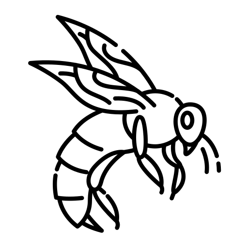 Vespa asiàtica
