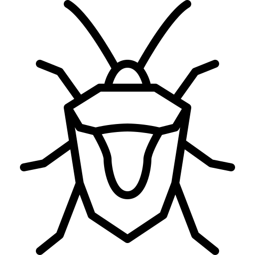 Xinxes